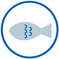 Website_Icons_Fish