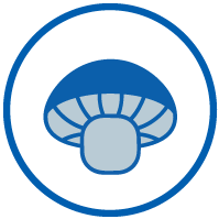 Website_Icons_Mushroom